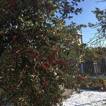 “l' Angolo Dei Sogni” Апартаменты Казале-Монферрато